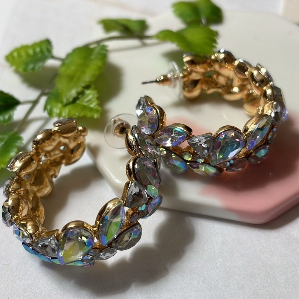 Crystal Hoop Earrings - Picture 13 of 14
